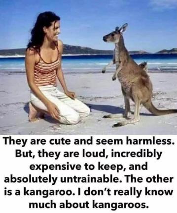 PETS.jpg